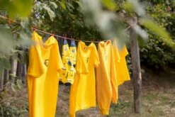 Easy Camp Edendale 600 Tunneltent 6 Persoons - Grijs -Buitenwinkel 1267 1900 waslijn 1 1