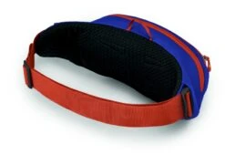 Osprey Daylite Heuptas - Blauw/Oranje -Buitenwinkel 1900 1425 daylitewaist s23 sideback silverliningblueberry 10005144