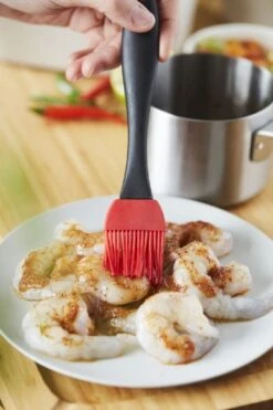 Barbecook Sauspan Met Marinadeborstel 10 Barbecook Sauspan Met Marinadeborstel -Buitenwinkel 900 600 bc acc 7211 sf 12 hr